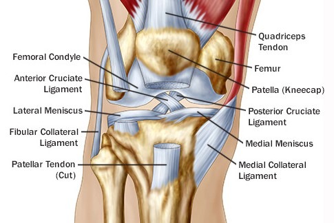 Iliotibial Band ITB Friction Syndrome Perth